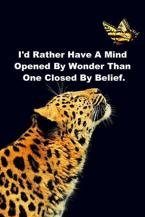 I'd Rather Have A Mind Opened By Wonder Than One Closed By Belief
