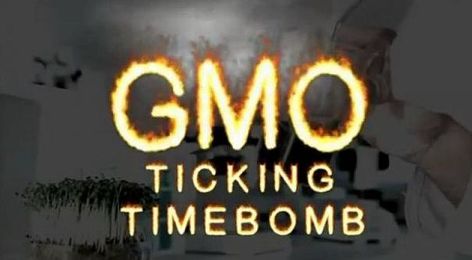 GMO Ticking Time Bomb